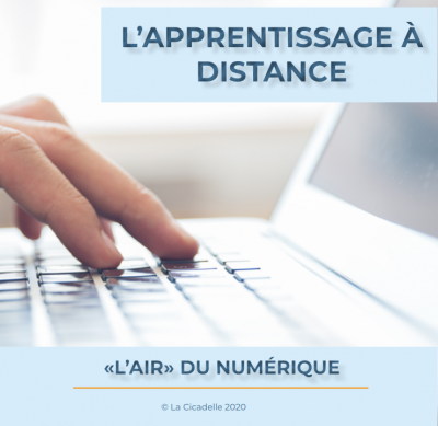 La Cicadelle - L'apprentissage collectif par internet