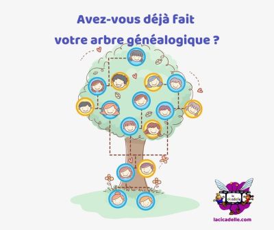 La Cicadelle - Comment faire mon arbre généalogique ?